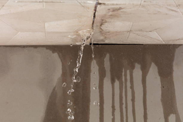 Professional Water Damage Inspection technician working in Badger, IA